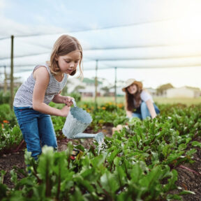 Agricultural Services