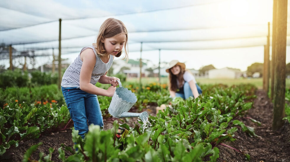 Agricultural Services