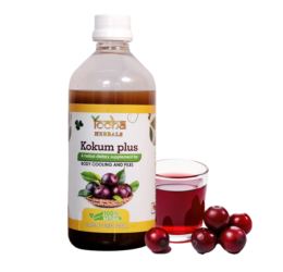 KOKUM PLUS